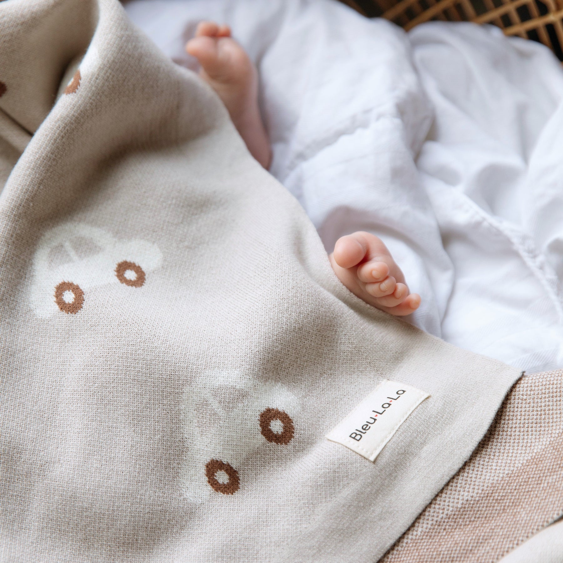 Whimsy Collection - Luxury 100% Cotton Knit Swaddle Baby Blanket