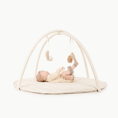 Baby Activity Gym